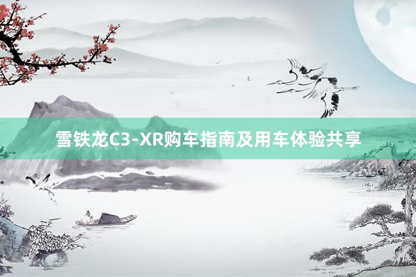 雪铁龙C3-XR购车指南及用车体验共享